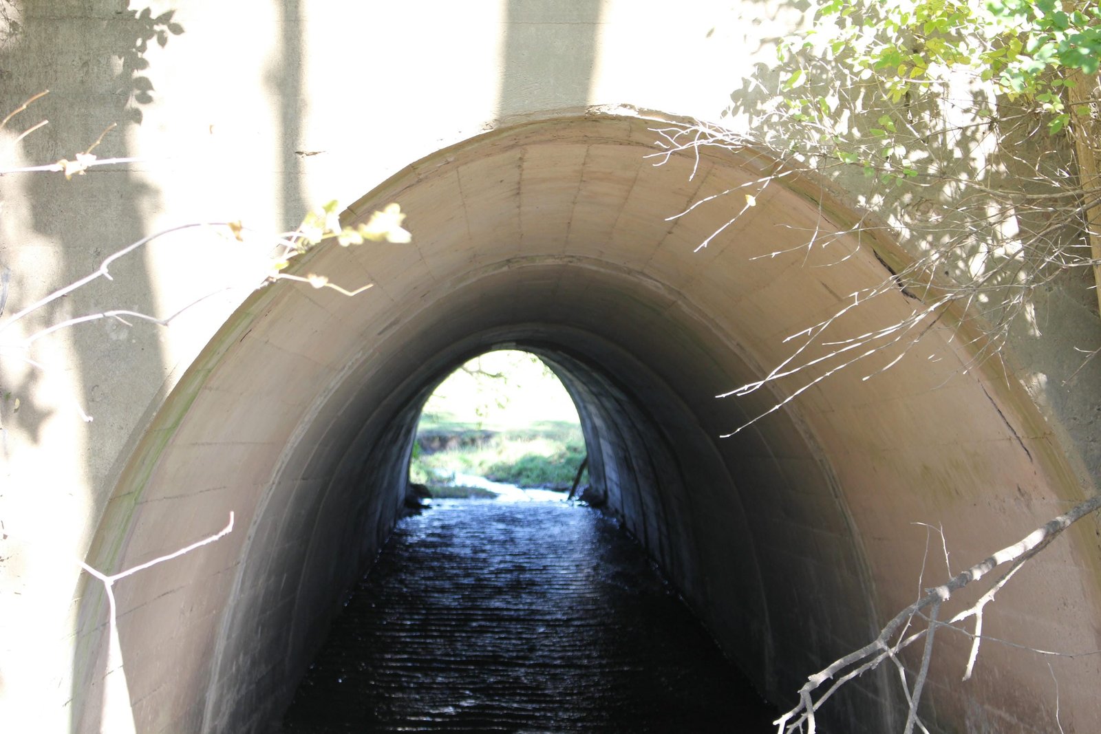 Arch details